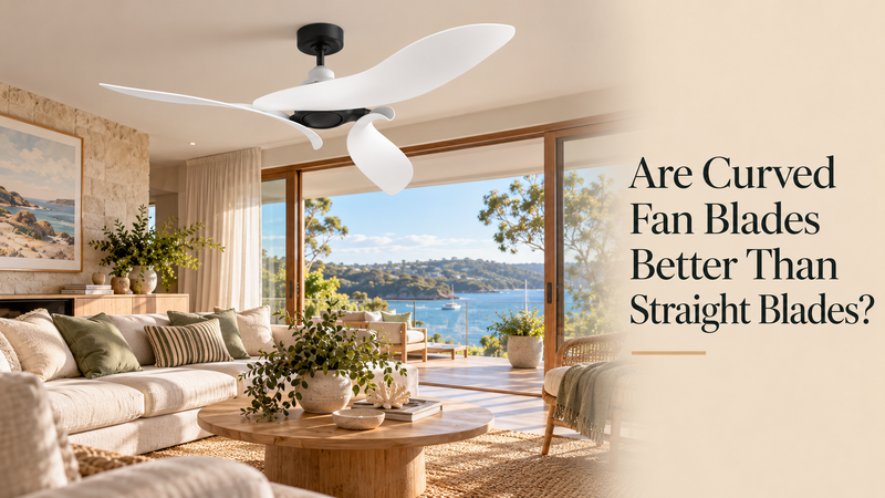 Are Curved Fan Blades Better Than Straight Blades? - ParrotUncle.AU