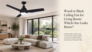 Wood or Black Ceiling Fan for Living Room: Which One Looks Better?