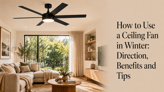 How to Use a Ceiling Fan in Winter: Direction, Benefits and Tips