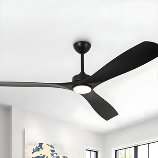 Best Ceiling Fan Color for Hamptons Style: Wood or Black?