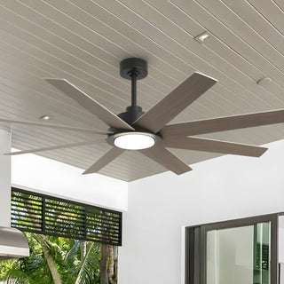 Which Direction Should a Ceiling Fan Spin in Autumn in Australia?