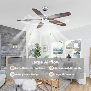 52" Dicken Hamptons Farmhouse Downrod Mount Reversible Ceiling Fan with Lighting and Remote Control