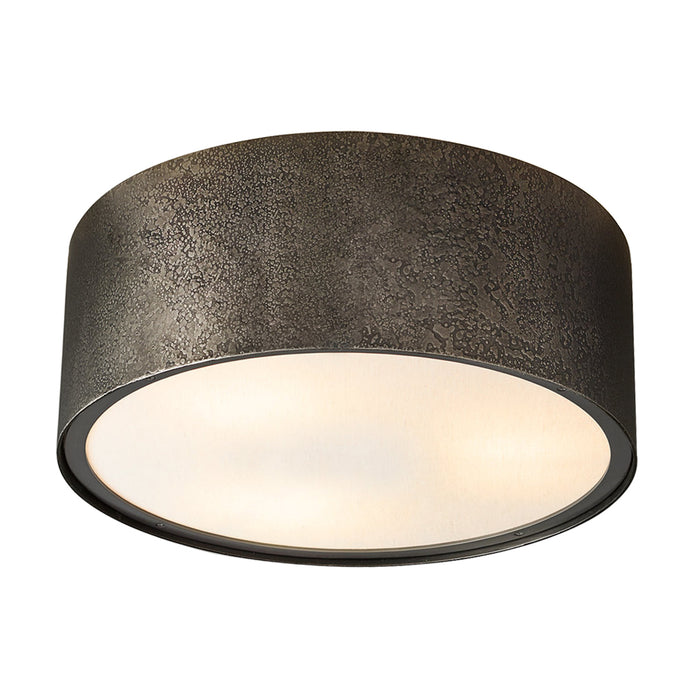 2-Light Modern Black Ceiling Light with LED