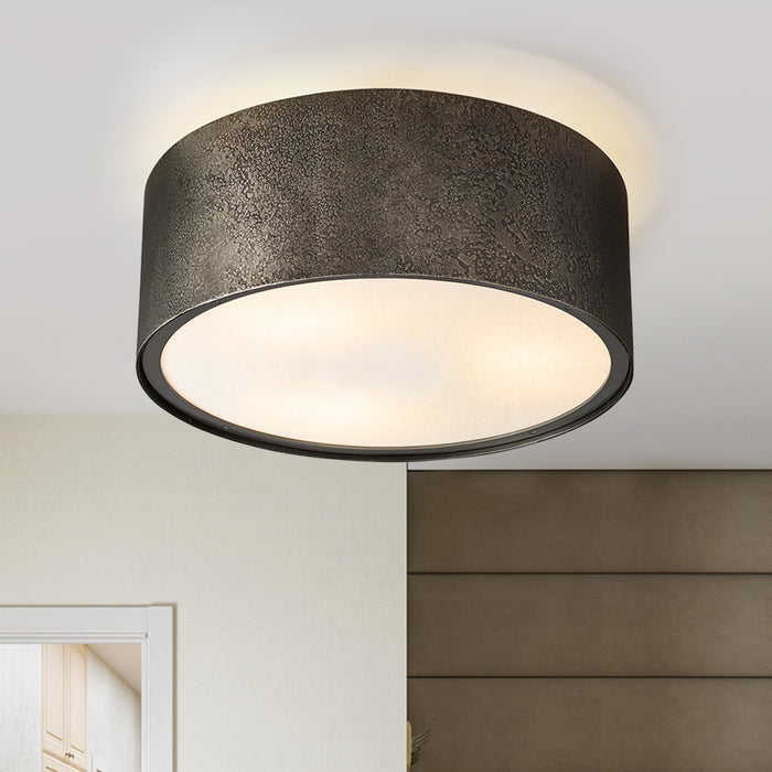 2-Light Modern Black Ceiling Light with LED