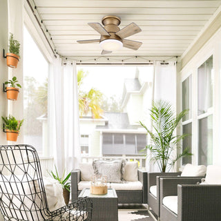 24" Hamptons Farmhouse Flush Mount Reversible Iron Ceiling Fan with Lighting and Remote Control