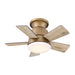 24" Industrial Flush Mount Reversible Iron Ceiling Fan with Lighting and Remote Control - ParrotUncle