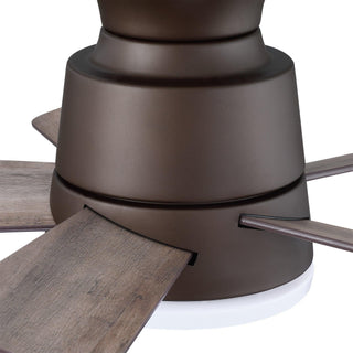 24" Hamptons Farmhouse Flush Mount Reversible Iron Ceiling Fan with Lighting and Remote Control