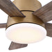 24" Industrial Flush Mount Reversible Iron Ceiling Fan with Lighting and Remote Control - ParrotUncle