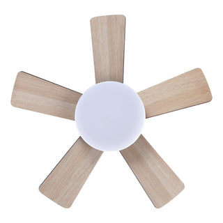 24" Hamptons Farmhouse Flush Mount Reversible Iron Ceiling Fan with Lighting and Remote Control