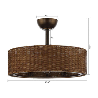 24" Farmhouse DC Motor Caged Ceiling Fan with Lighting and Remote Control