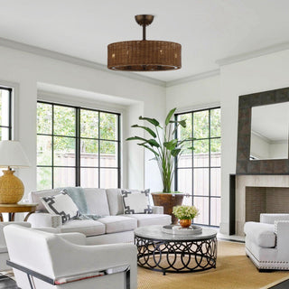 24" Farmhouse DC Motor Caged Ceiling Fan with Lighting and Remote Control