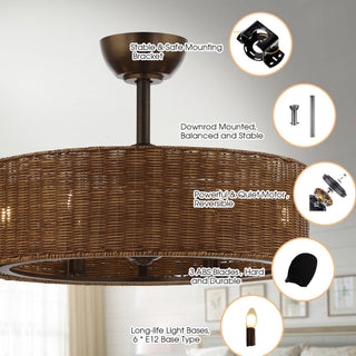 24" Farmhouse DC Motor Caged Ceiling Fan with Lighting and Remote Control