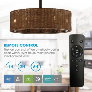 24" Farmhouse DC Motor Caged Ceiling Fan with Lighting and Remote Control