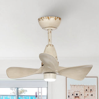 28" Kwang Farmhouse DC Motor Downrod Mount Reversible Ceiling Fan with LED Lighting and Remote Control