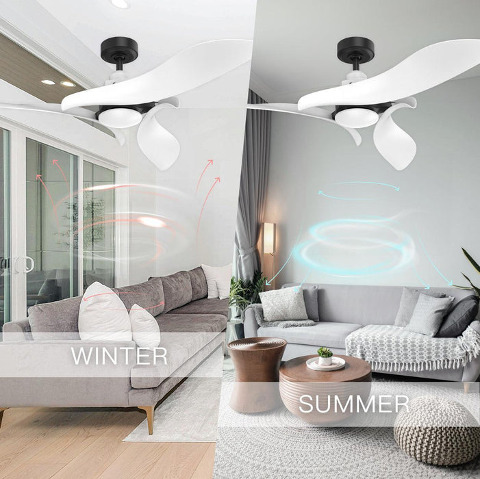 Black 54" DC Motor 6 Speed Ceiling Fan with LED Lighting