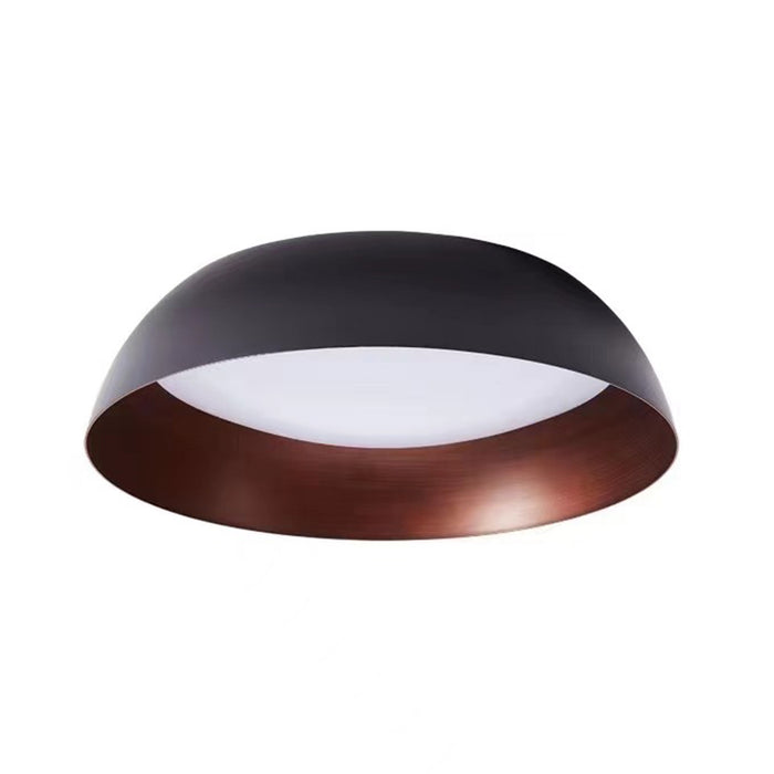 2-Light Industrial Black Ceiling Light with LED