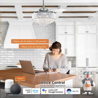 42" Broxburne Smart Fan with LED Light - ParrotUncle