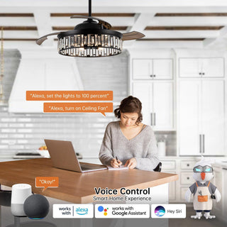 52" Broxburne Smart Fan with Light Kit - ParrotUncle