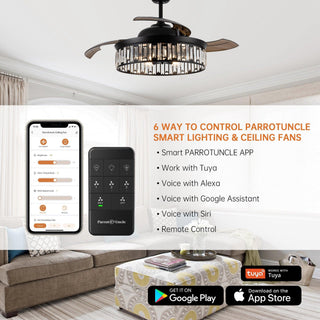 52" Broxburne Smart Fan with Light Kit - ParrotUncle