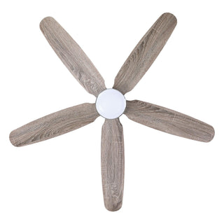 52" Dicken Hamptons Farmhouse Downrod Mount Reversible Ceiling Fan with Lighting and Remote Control