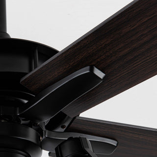 52" Kashmir Traditional Downrod Mount Reversible Ceiling Fan with Lighting and Remote Control