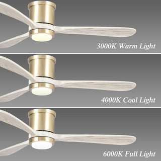 52" Mayna Hamptons Modern Flush Mount Reversible Ceiling Fan with LED Lighting and Remote Control