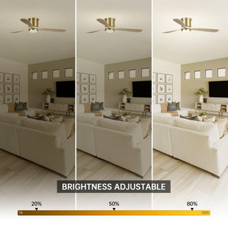 52" Mayna Hamptons Smart Fan with LED Light and Remote Control