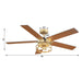 52" Prayag Industrial Downrod Mount Reversible Ceiling Fan with Lighting and Remote Control - ParrotUncle