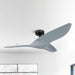 52" Punjab Industrial DC Motor Downrod Mount Reversible Ceiling Fan with Remote Control - ParrotUncle