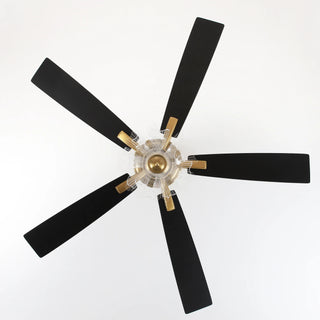 52 Inch Rory LED Modern Downrod Mount Ceiling Fan with Remote Control
