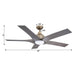 56" Genoa Modern DC Motor Downrod Mount Reversible Ceiling Fan with Lighting and Remote Control - ParrotUncle