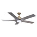 56" Genoa Modern DC Motor Downrod Mount Reversible Ceiling Fan with Lighting and Remote Control - ParrotUncle