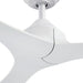 56" Modern DC Motor Downrod Mount Reversible Ceiling Fan with Remote Control - ParrotUncle