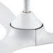 56" Modern DC Motor Downrod Mount Reversible Ceiling Fan with Remote Control - ParrotUncle