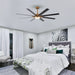 65" Balachandran Industrial Downrod Mount Ceiling Fan with LED Lighting and Remote Control - ParrotUncle