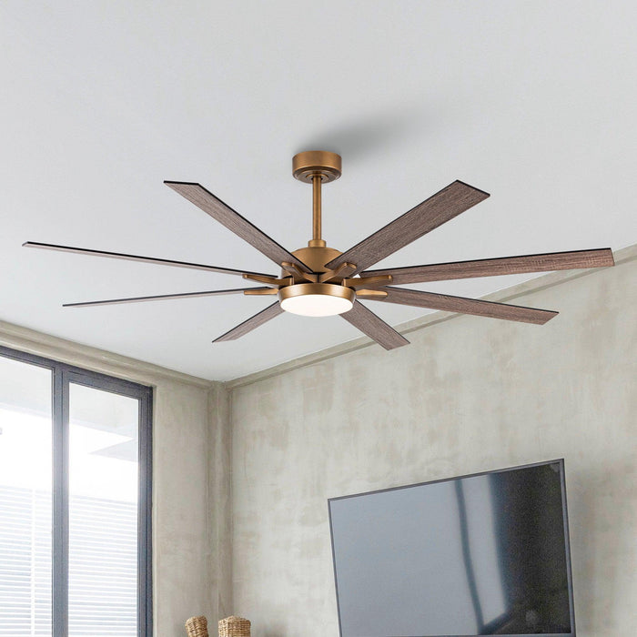 65" Balachandran Industrial Downrod Mount Ceiling Fan with LED Lighting and Remote Control - ParrotUncle