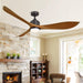 66" Misael Propeller Modern DC Motor Downrod Mount Reversible Ceiling Fan with LED Lighting and Remote Control - ParrotUncle