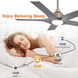 56" Genoa Hamptons Farmhouse DC Motor Downrod Mount Reversible Ceiling Fan with Lighting and Remote Control