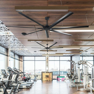213 cm / 254 cm / 305cm Silent Storm Extra Large Industrial Aluminum Ceiling Fan for Large Spaces