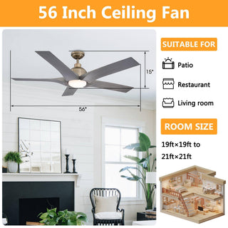 56" Genoa Hamptons Farmhouse DC Motor Downrod Mount Reversible Ceiling Fan with Lighting and Remote Control