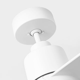 54" 3 Blades DC Motor Ceiling Fan with Remote Control