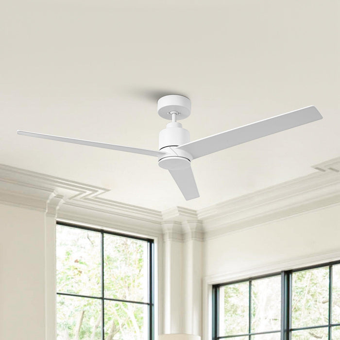 54" 3 Blades DC Motor Ceiling Fan with Remote Control