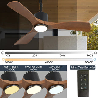 42 Inch Hamptons Patio Guard IP65 Outdoor DC Motor Black Modern Hanging Buckle Downrod Ceiling Fan with Light