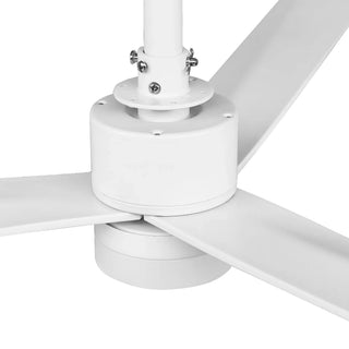 50 Inch Rae Hamptons Modern Downrod Mount LED Ceiling Fan with Remote Control
