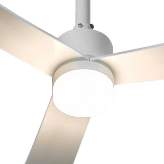 50 Inch Rae Hamptons Modern Downrod Mount LED Ceiling Fan with Remote Control