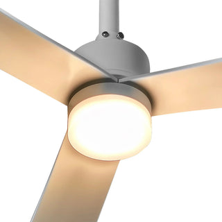 50 Inch Rae Hamptons Modern Downrod Mount LED Ceiling Fan with Remote Control