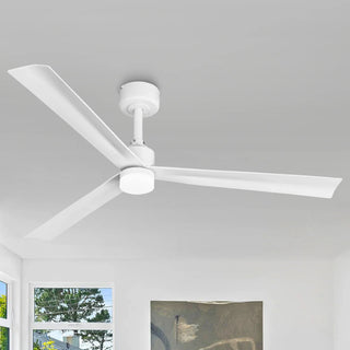 50 Inch Rae Hamptons Modern Downrod Mount LED Ceiling Fan with Remote Control