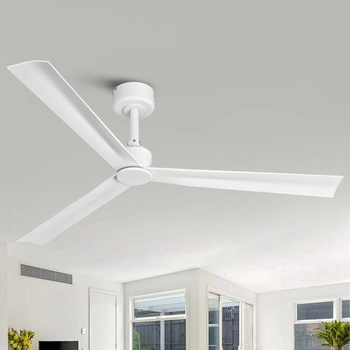 50 Inch Erica Modern Downrod Mount Ceiling Fan with Remote Control