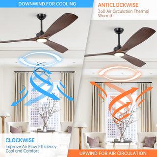 60 Inch Alexi Hamptons DC Motor Modern Downrod Ceiling Fan with LED Light