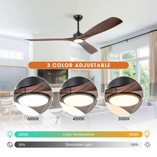 60 Inch Alexi Hamptons DC Motor Modern Downrod Ceiling Fan with LED Light
